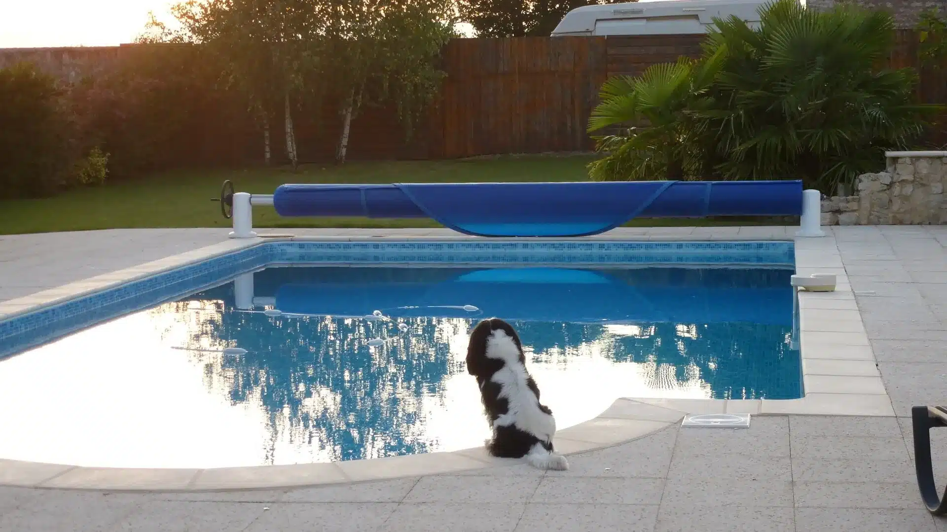 piscine+liner+imprimé-1920w
